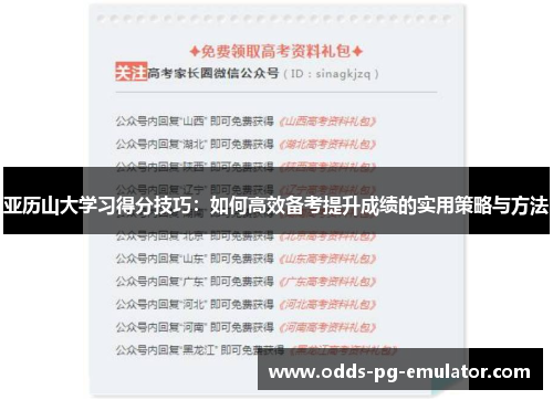 亚历山大学习得分技巧：如何高效备考提升成绩的实用策略与方法