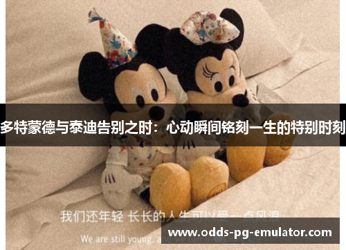 多特蒙德与泰迪告别之时：心动瞬间铭刻一生的特别时刻
