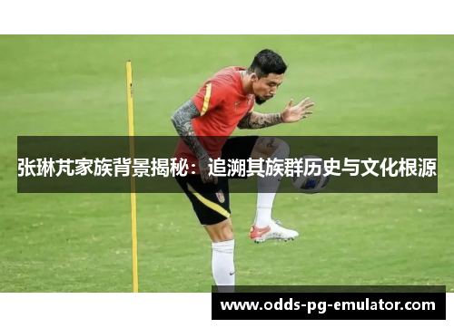 张琳芃家族背景揭秘：追溯其族群历史与文化根源