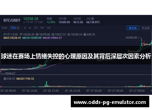 球迷在赛场上情绪失控的心理原因及其背后深层次因素分析