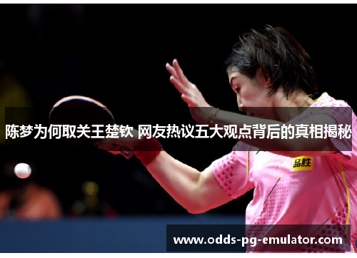 陈梦为何取关王楚钦 网友热议五大观点背后的真相揭秘