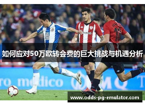 如何应对50万欧转会费的巨大挑战与机遇分析