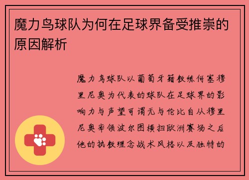 魔力鸟球队为何在足球界备受推崇的原因解析
