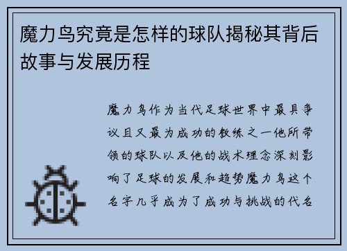 魔力鸟究竟是怎样的球队揭秘其背后故事与发展历程 魔力鸟究竟是怎样的球队揭秘其背后故事与发展历程