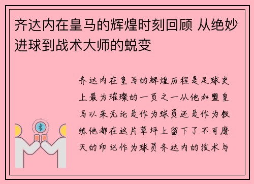 齐达内在皇马的辉煌时刻回顾 从绝妙进球到战术大师的蜕变