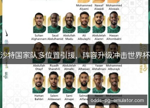 沙特国家队多位置引援,阵容升级冲击世界杯 沙特国家队多位置引援,阵容升级冲击世界杯